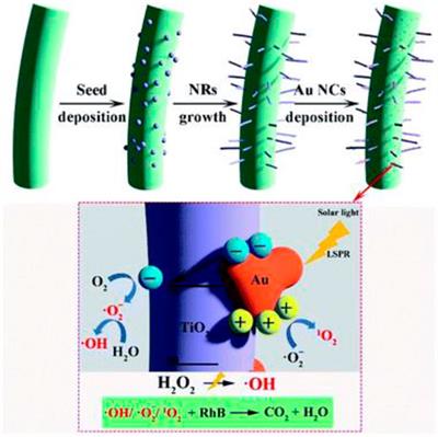 Cellulose-Based Materials for Water Remediation: Adsorption, Catalysis, and Antifouling